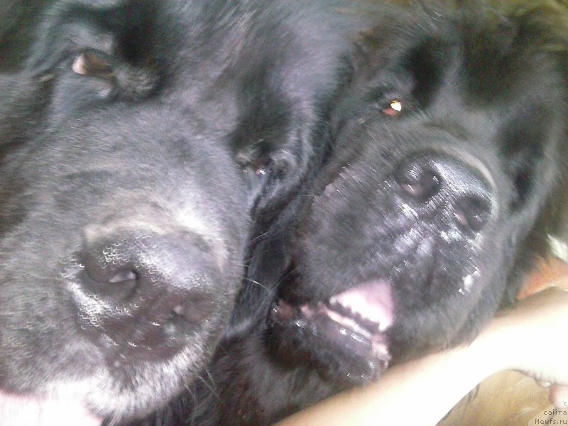 Фотография № 190900