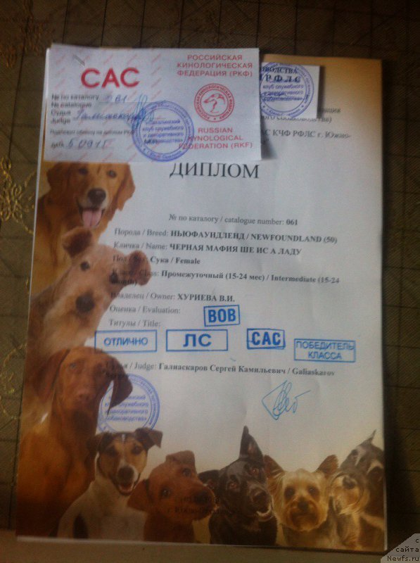 Фотография № 190903