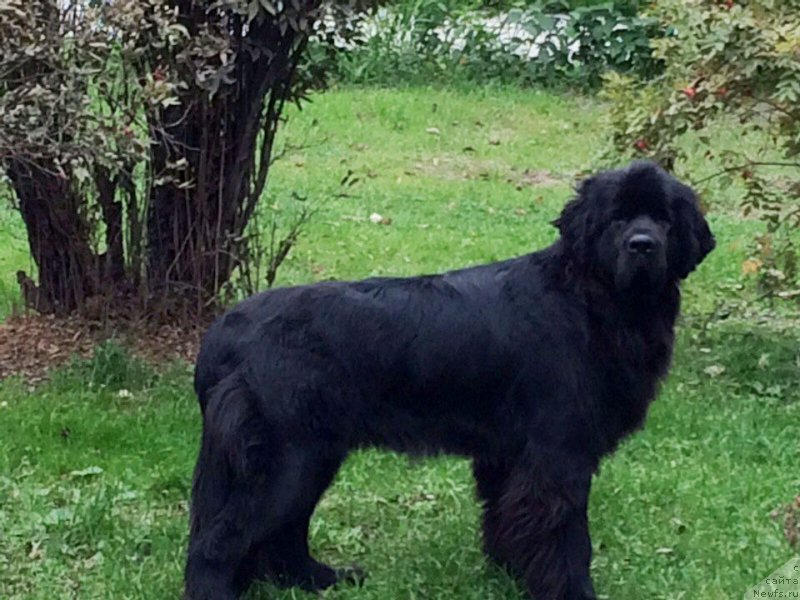 Фотография № 190904