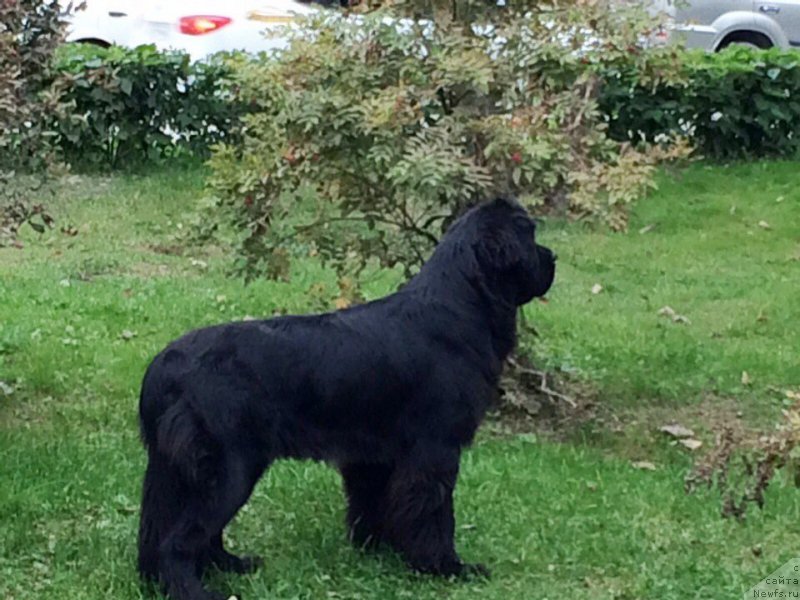 Фотография № 190905