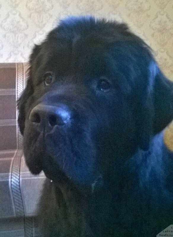 Фотография № 190960