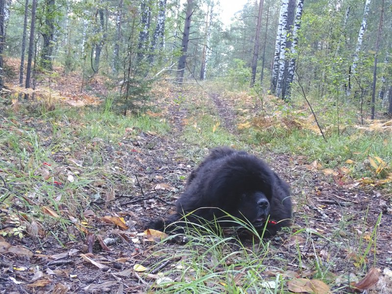 Фотография № 190964