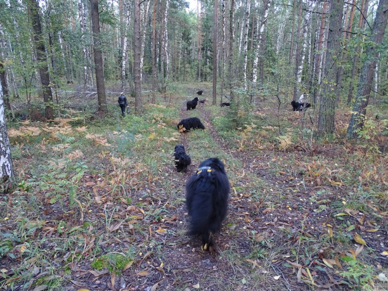 Фотография № 190965