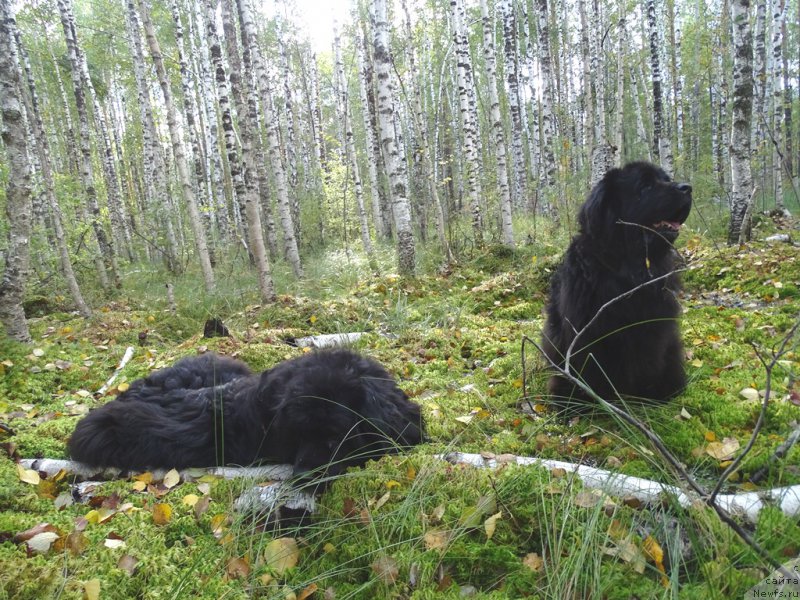 Фотография № 190967