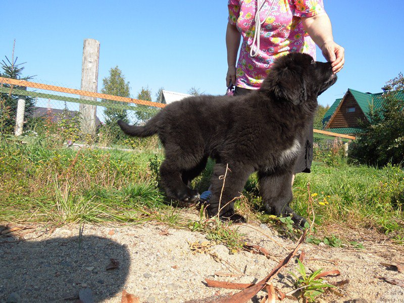 Фотография № 190992