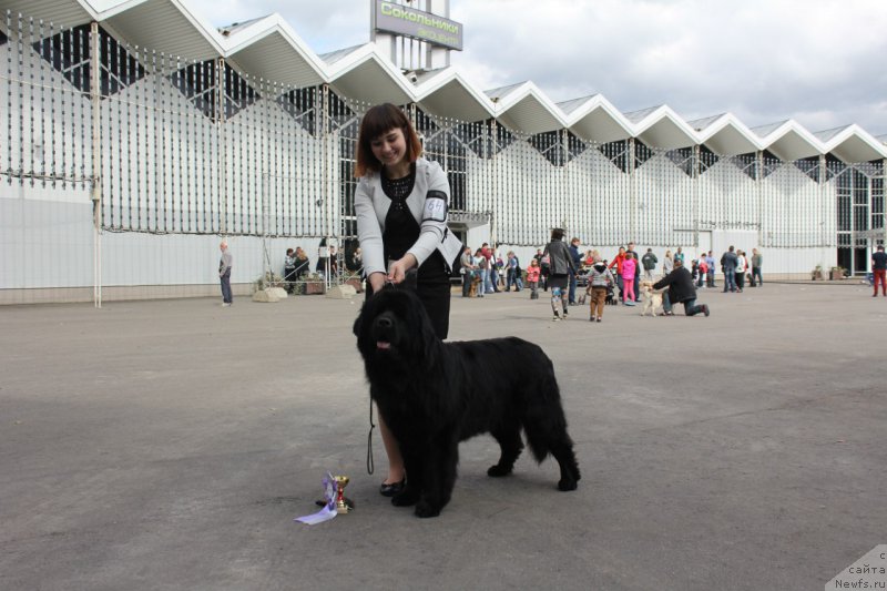 Фотография № 191019