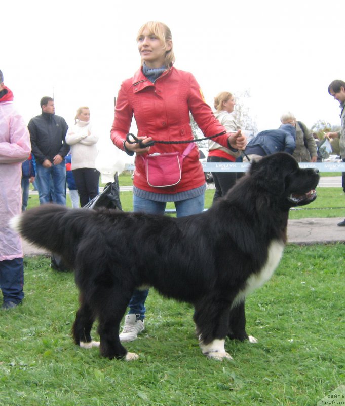 Фотография № 191026