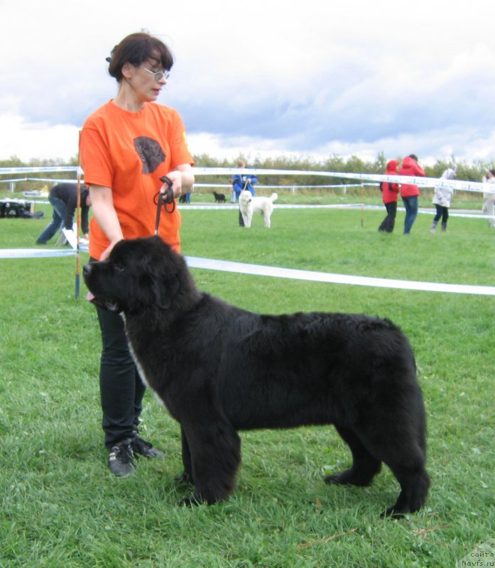 Фотография № 191027