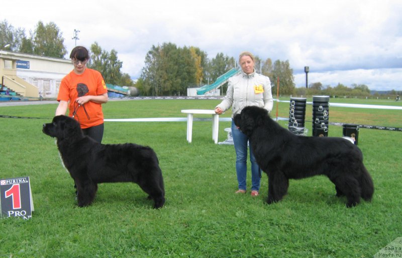 Фотография № 191028