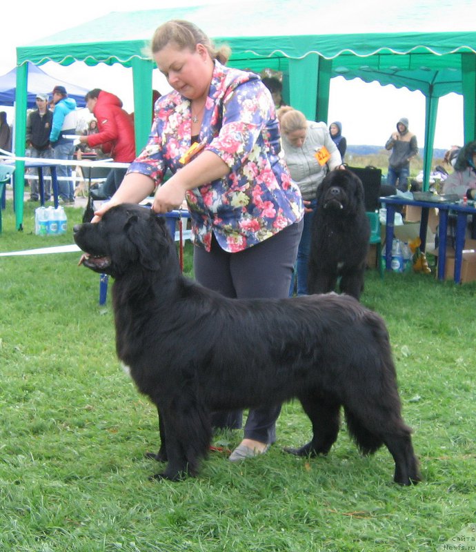 Фотография № 191029