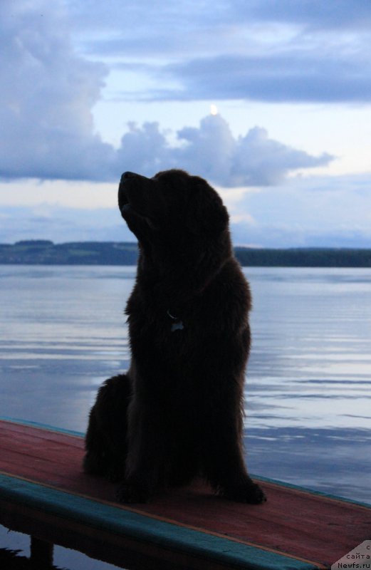 Фотография № 191033