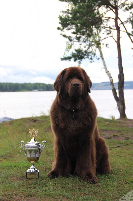 Фотография № 191034