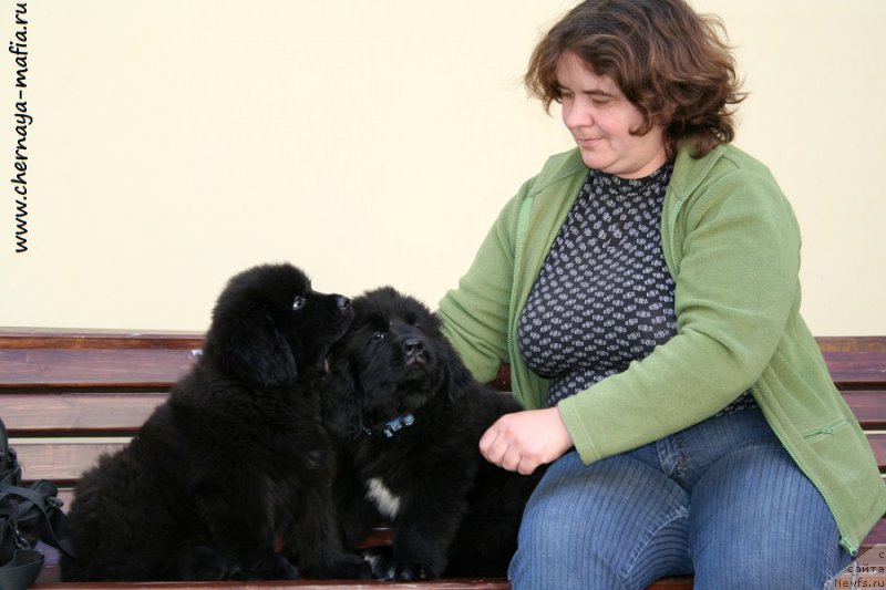 Фотография № 191042