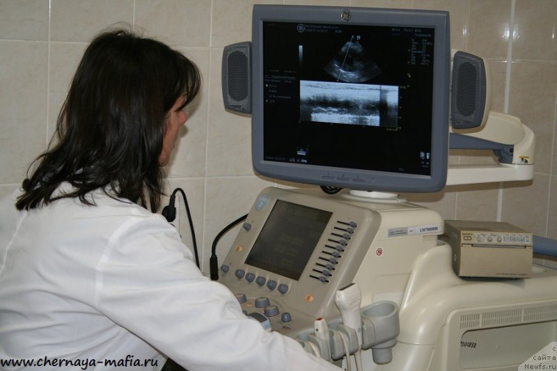 Фотография № 191046