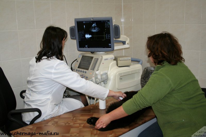 Фотография № 191047