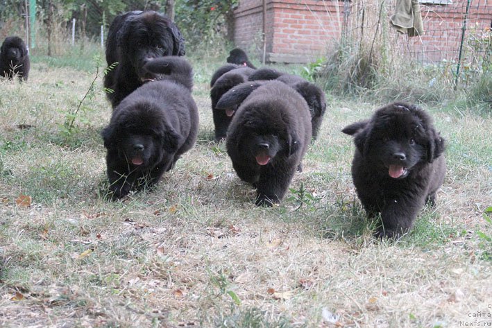 Фотография № 191048