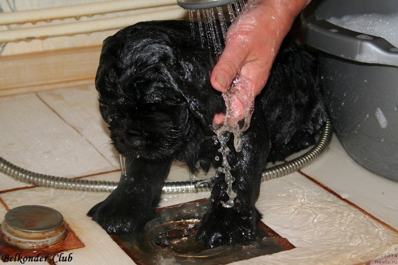 Фотография № 191072