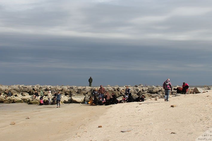 Фотография № 191073