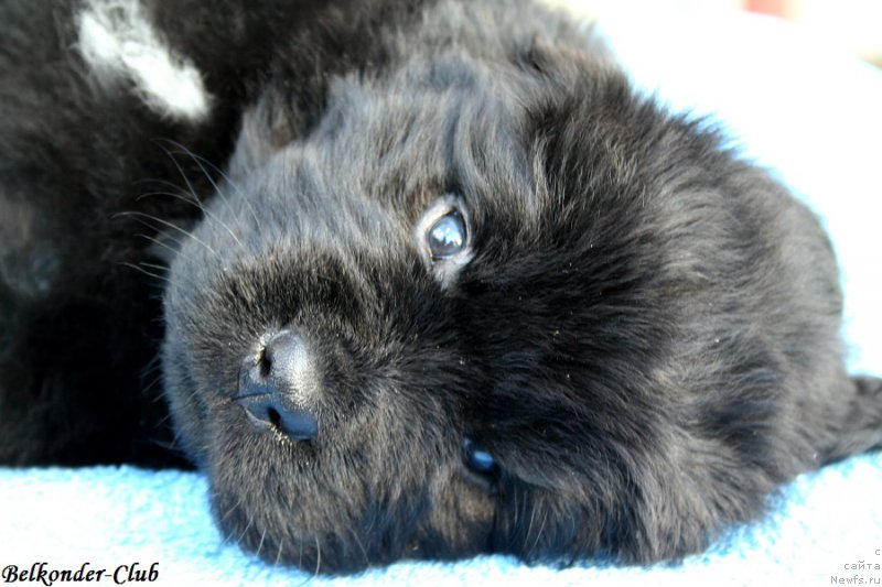 Фотография № 191075