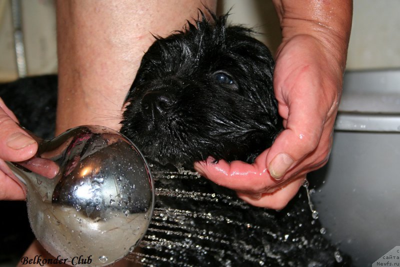 Фотография № 191078