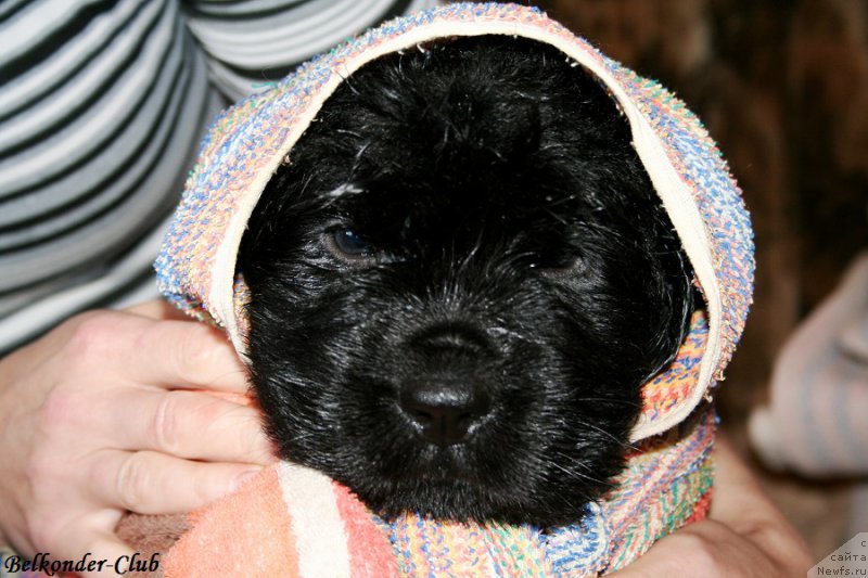 Фотография № 191079