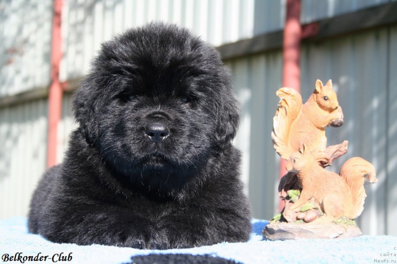 Фотография № 191082