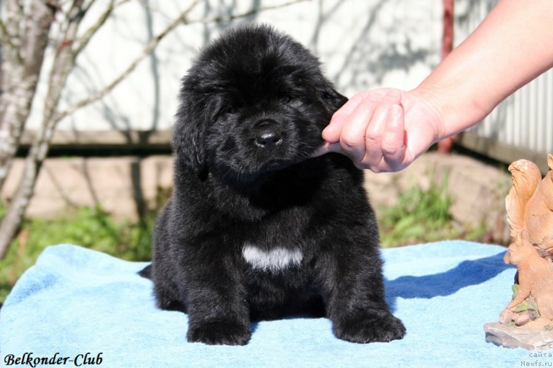 Фотография № 191088