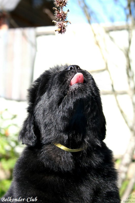 Фотография № 191093