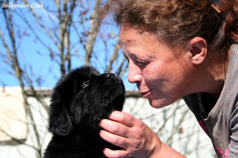 Фотография № 191094