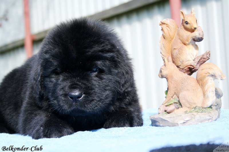 Фотография № 191104