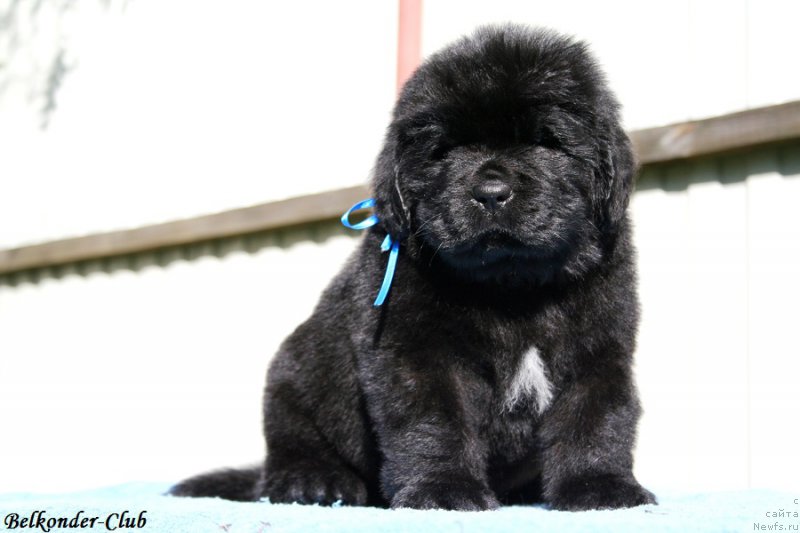 Фотография № 191136