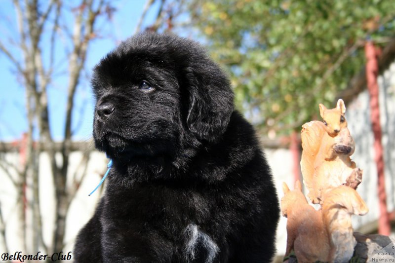 Фотография № 191139