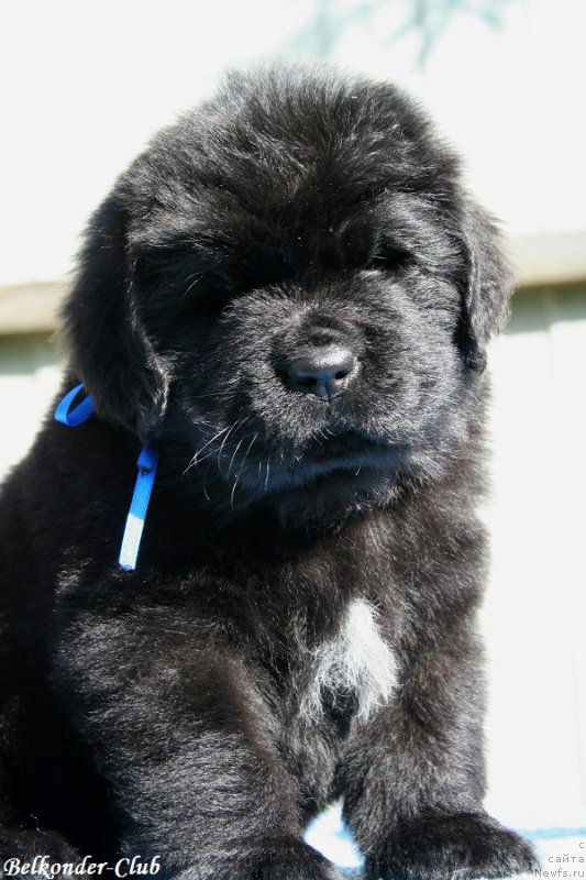 Фотография № 191141