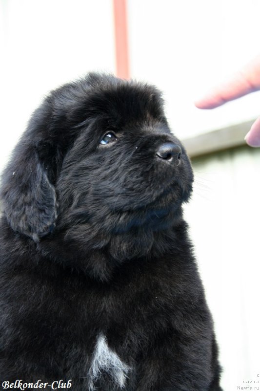 Фотография № 191145