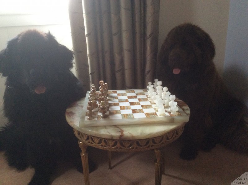 Фотография № 191154