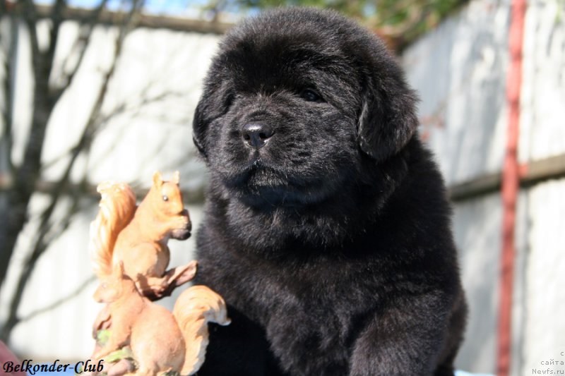 Фотография № 191158