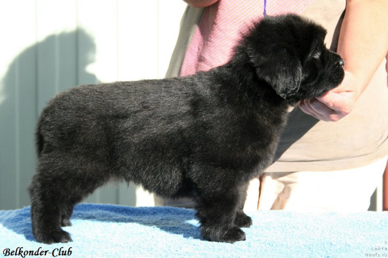 Фотография № 191168