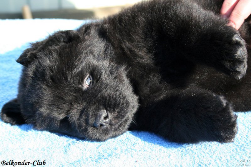 Фотография № 191173