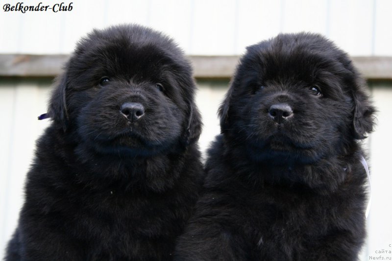 Фотография № 191176