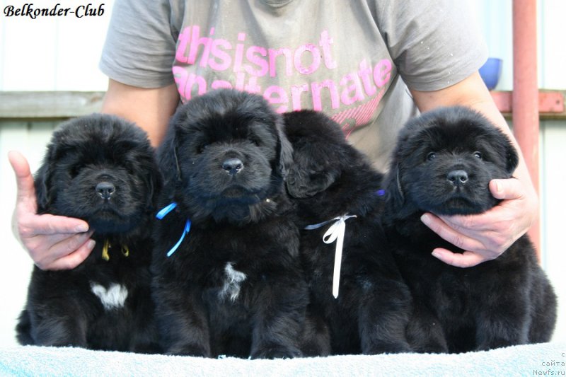 Фотография № 191182