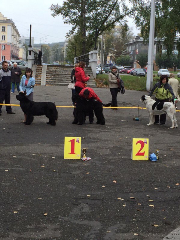 Фотография № 191197