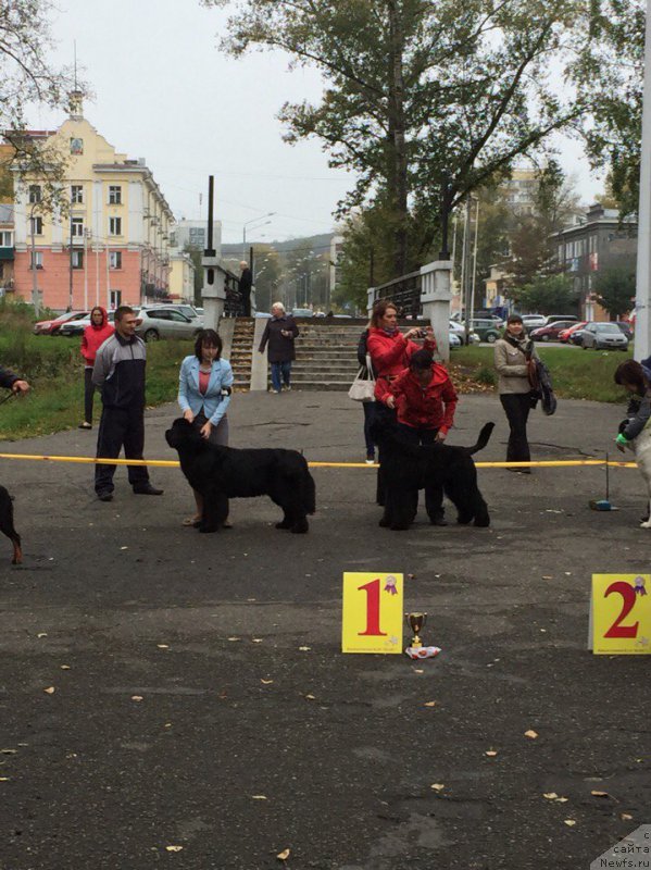 Фотография № 191198