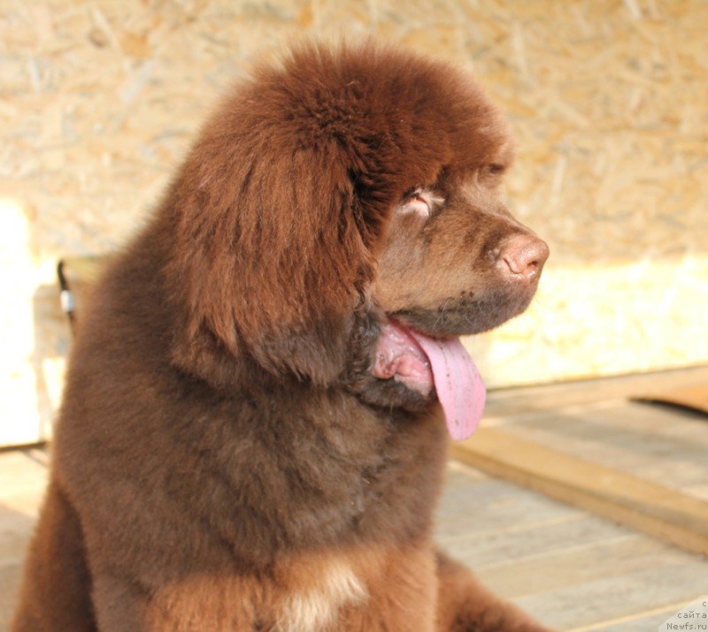 Фотография № 191210