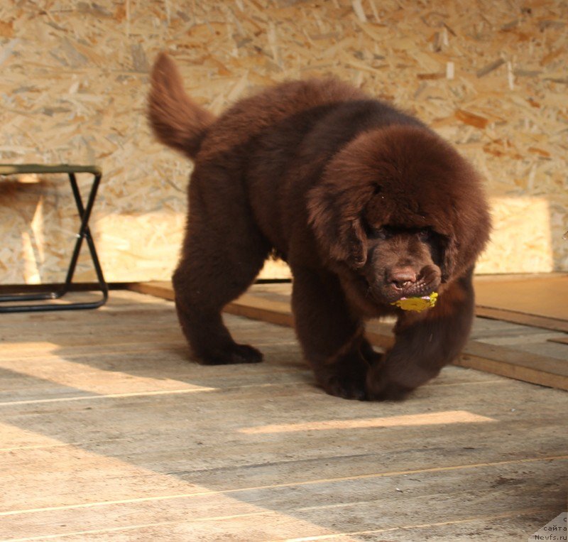 Фотография № 191211