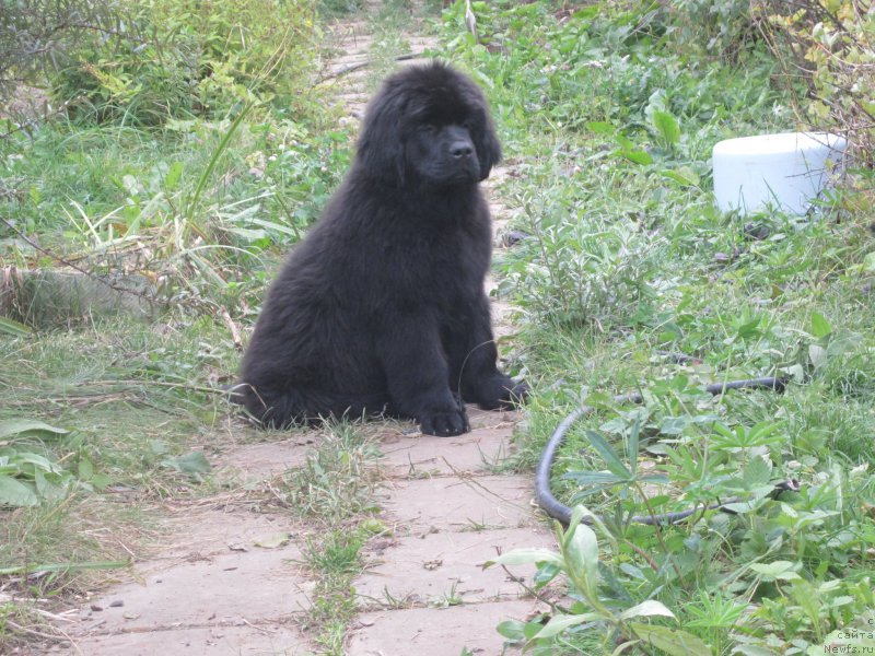 Фото: Наталья Смазчикова