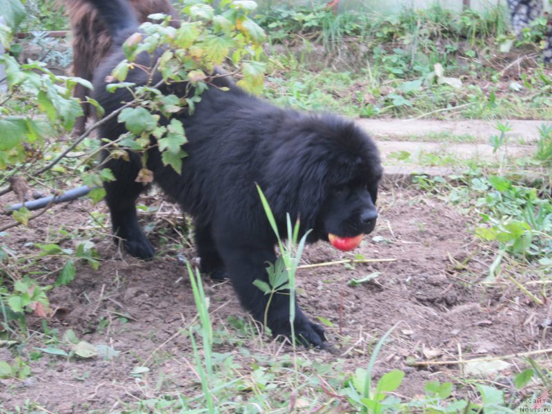 Фото: Наталья Смазчикова