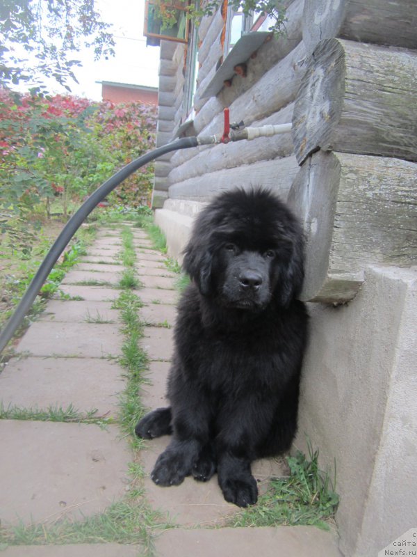 Фото: Наталья Смазчикова