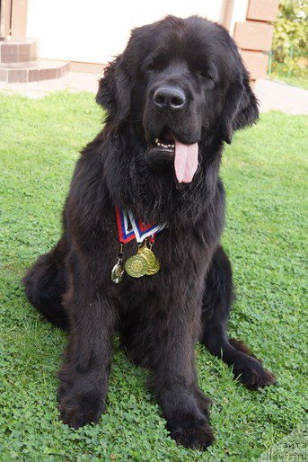 Фотография № 191295