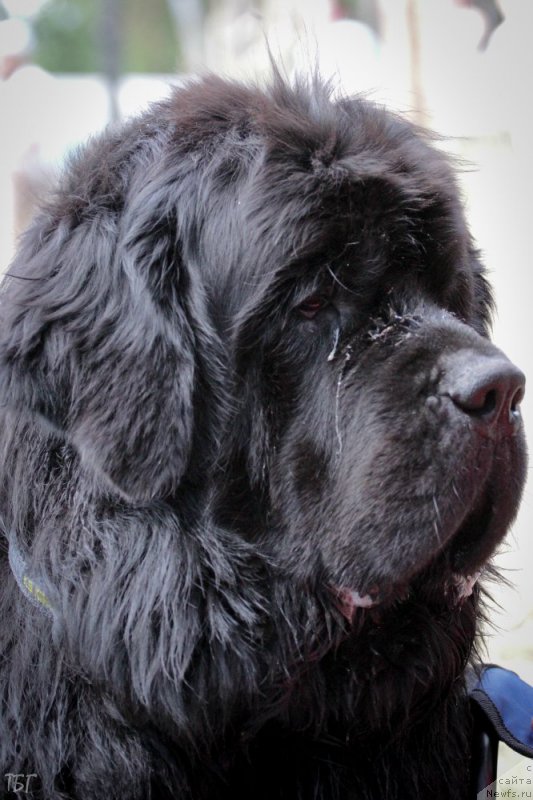 Фотография № 191305