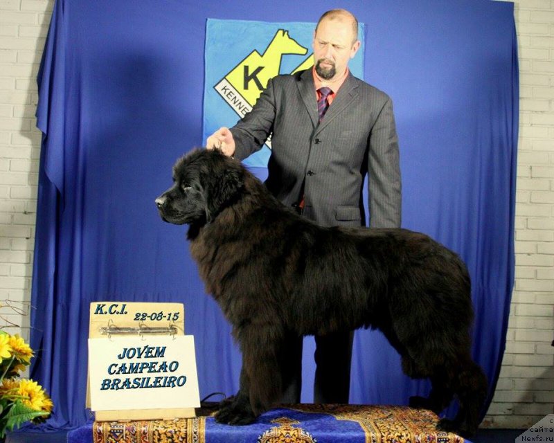 Фотография № 191308